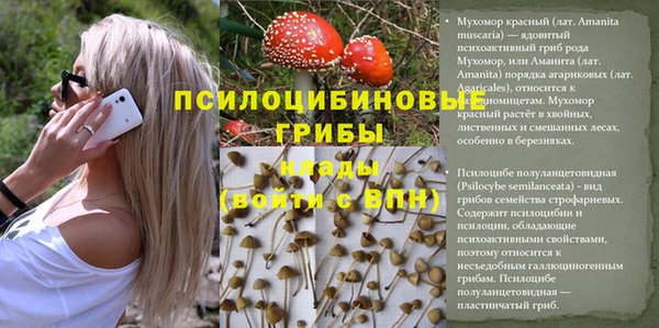 apvp Киренск
