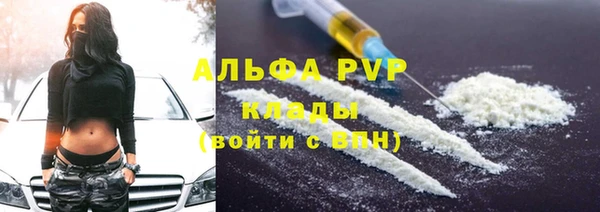 сатива Кинешма