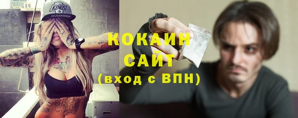 дмт Козельск