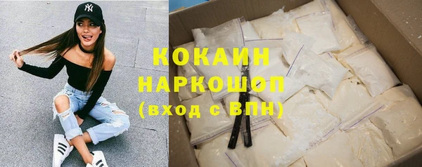 дмт Козельск