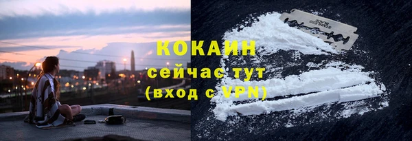 дмт Козельск