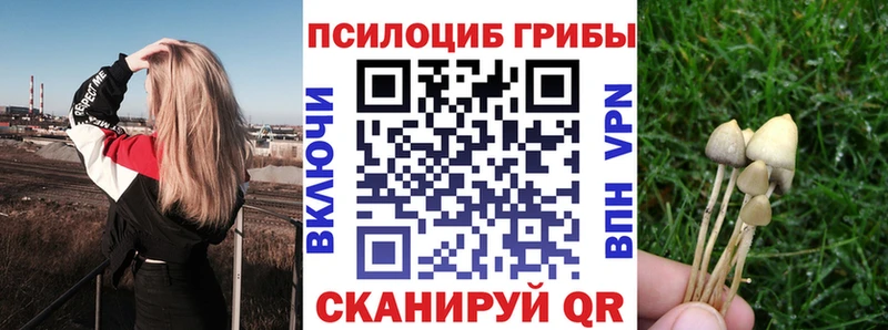 Купить где  Малая Вишера  Псилоцибиновые грибы GOLDEN TEACHER 